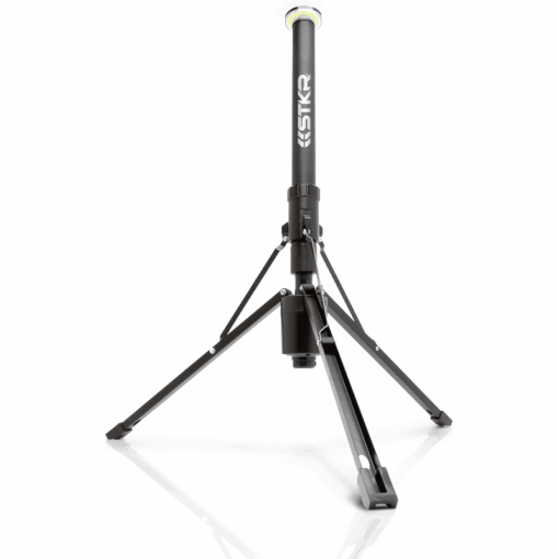 den fli overlander 10 telescoping light with wireless remote 1